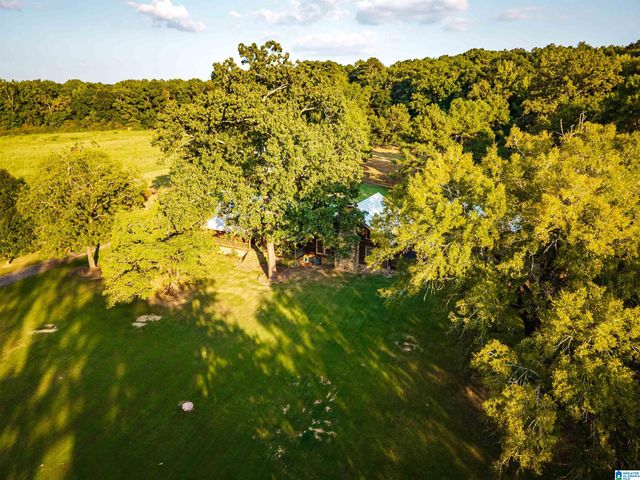 7046 WOLF CREEK ROAD, Pell City, AL 35125