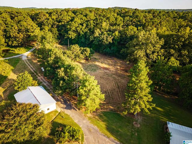 7046 WOLF CREEK ROAD, Pell City, AL 35125