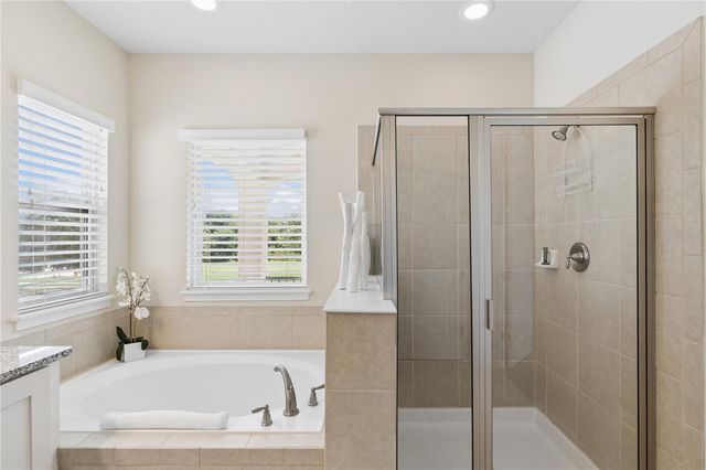 785 DESERT MOUNTAIN COURT, Kissimmee, FL 34747