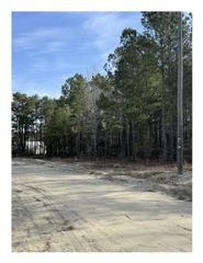 TBD Thompson Rd., Nichols, SC 29581