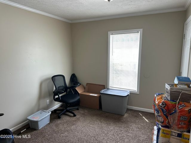 449 Francis Street, Jacksonville, NC 28546