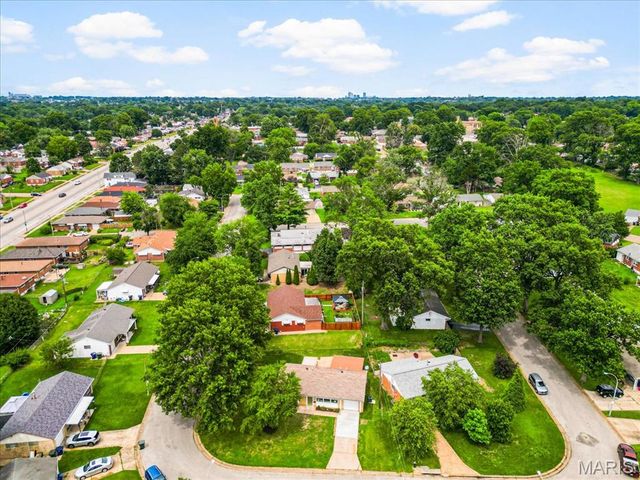 4117 Louis Street, St Louis, MO 63116