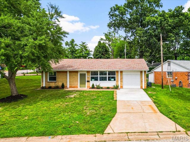 4117 Louis Street, St Louis, MO 63116