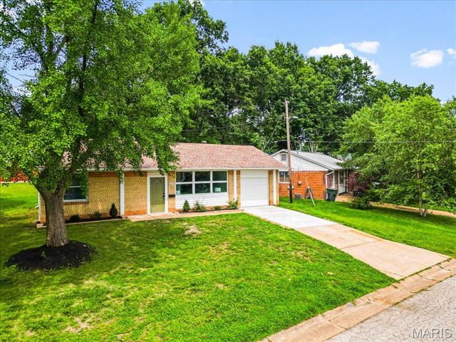4117 Louis Street, St Louis, MO 63116