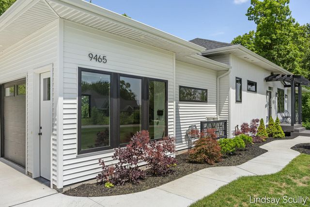 9465 Wabasis Pointe Drive Ne, Oakfield Twp, MI 48838