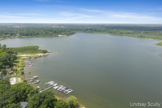 9465 Wabasis Pointe Drive Ne, Oakfield Twp, MI 48838