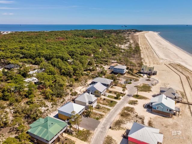 310 Audubon Place, Dauphin Island, AL 36528