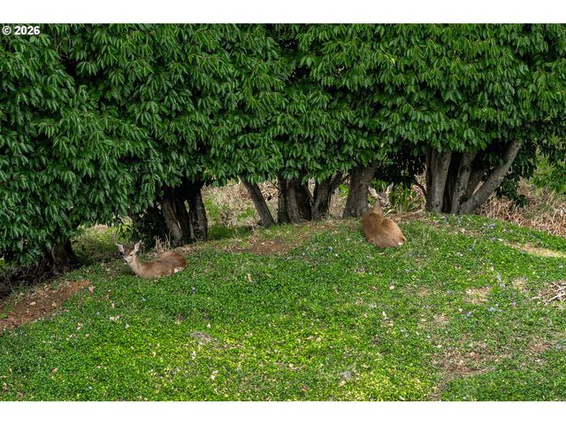 93961 BRIDGE VIEW Ln, North Bend, OR 97459