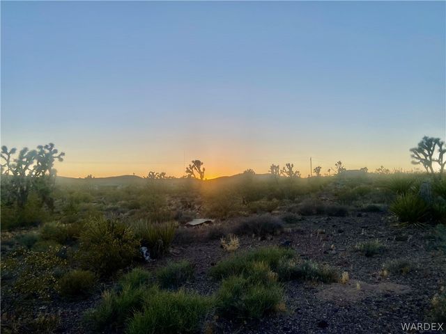 000 KINGMAN Drive, Dolan Springs, AZ 86441