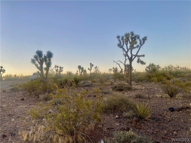000 KINGMAN Drive, Dolan Springs, AZ 86441