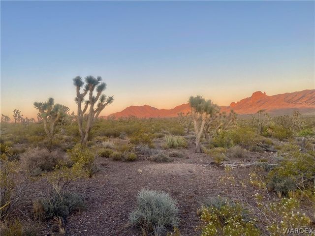 000 KINGMAN Drive, Dolan Springs, AZ 86441