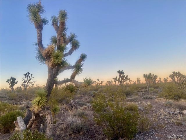 000 KINGMAN Drive, Dolan Springs, AZ 86441