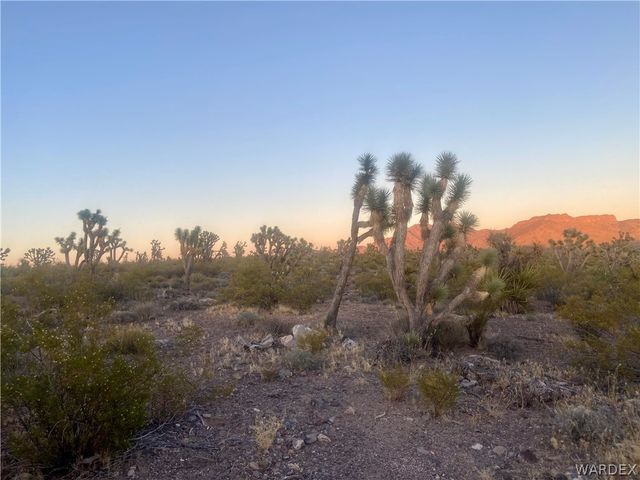 000 KINGMAN Drive, Dolan Springs, AZ 86441