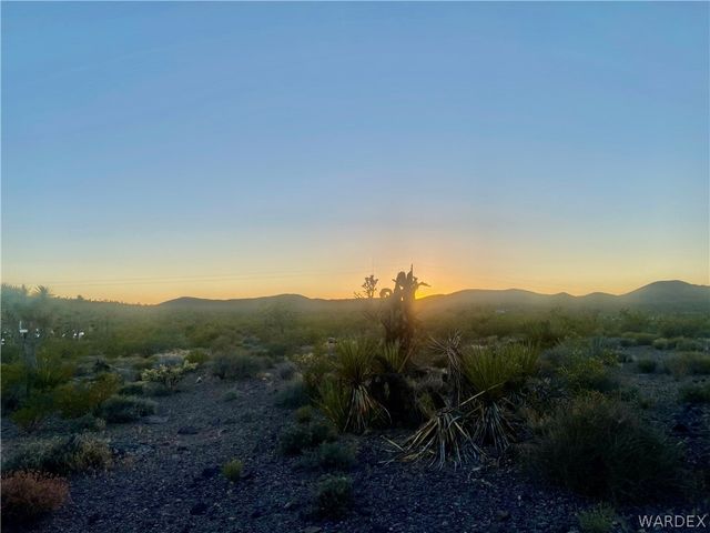 000 KINGMAN Drive, Dolan Springs, AZ 86441