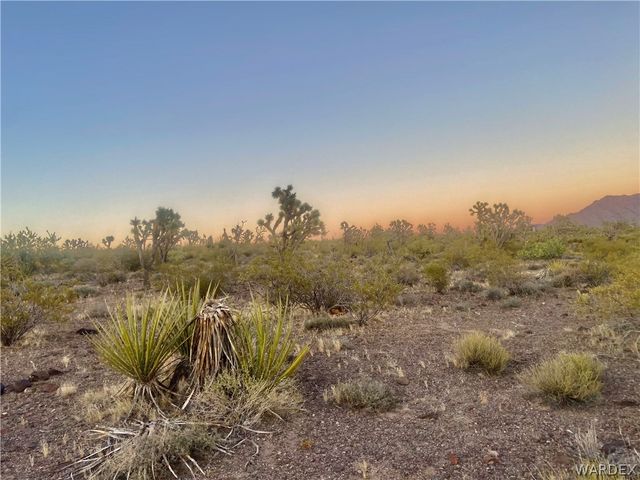 000 KINGMAN Drive, Dolan Springs, AZ 86441