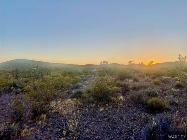 000 KINGMAN Drive, Dolan Springs, AZ 86441