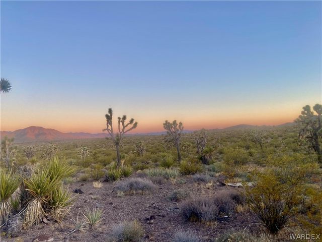 000 KINGMAN Drive, Dolan Springs, AZ 86441