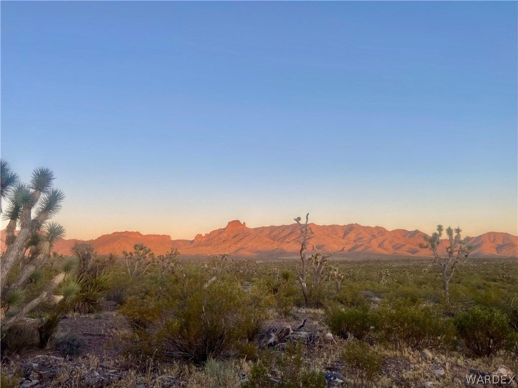 000 KINGMAN Drive, Dolan Springs, AZ 86441