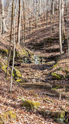 4125 Indian Mound Rd, Sparta, TN 38583