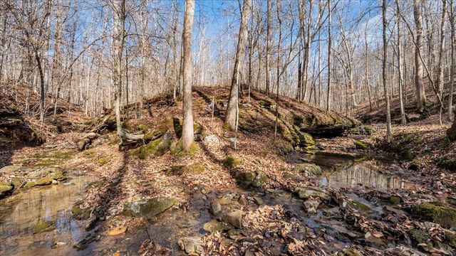 4125 Indian Mound Rd, Sparta, TN 38583