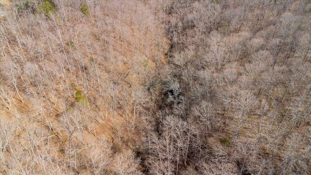 4125 Indian Mound Rd, Sparta, TN 38583