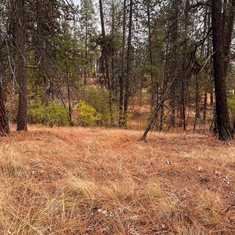 NKA S Unassigned address Rd, Spokane, WA 99224 photo 3