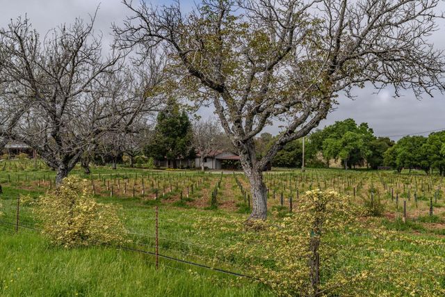 10801 Shenandoah Rd, Plymouth, CA 95669