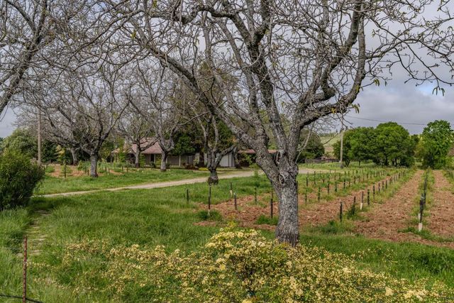 10801 Shenandoah Rd, Plymouth, CA 95669