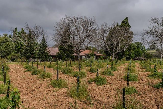 10801 Shenandoah Rd, Plymouth, CA 95669