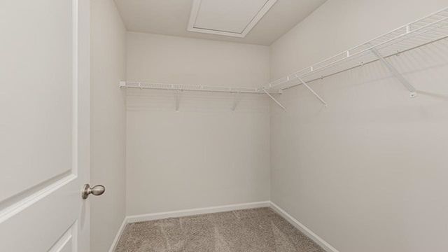 344 Black Bean Way, Longs, SC 29568