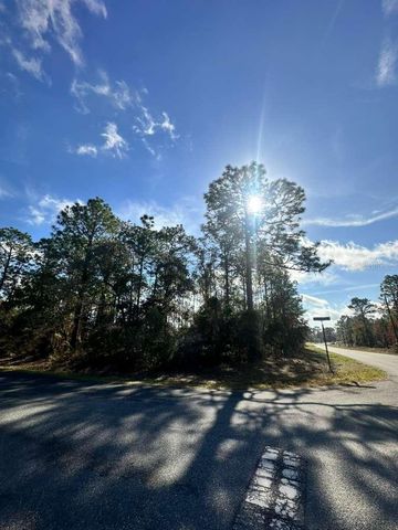 3171 W RANDOLPH LANE, Citrus Springs, FL 34433