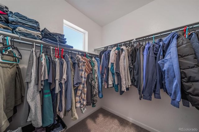 17201 Birds Foot Trail, Parker, CO 80134