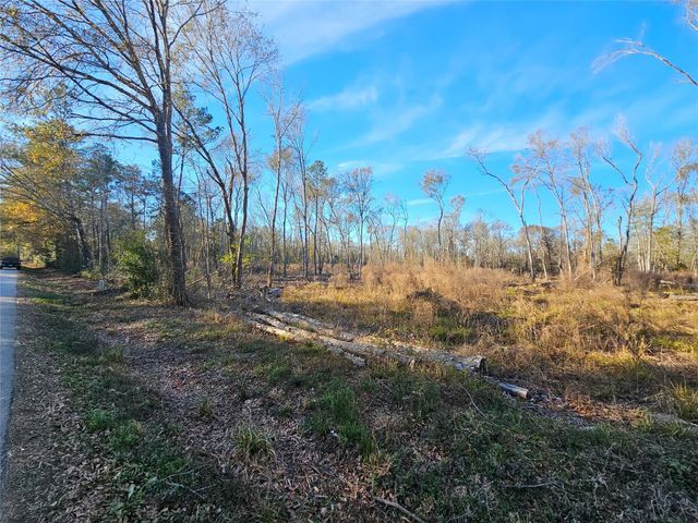 Lot 4 Sherwood Drive, Shepherd, TX 77371