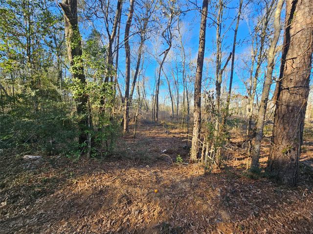 Lot 4 Sherwood Drive, Shepherd, TX 77371