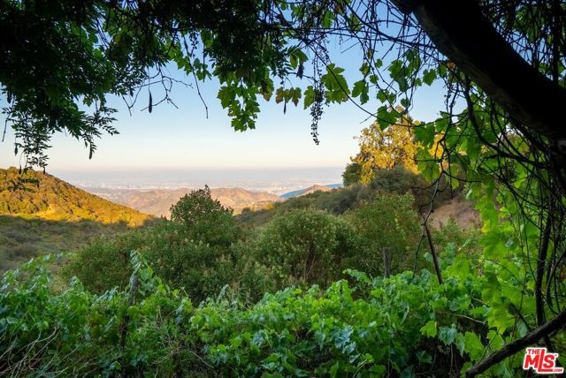 21965 Saddle Peak Road, Topanga (los Angeles), CA 90290