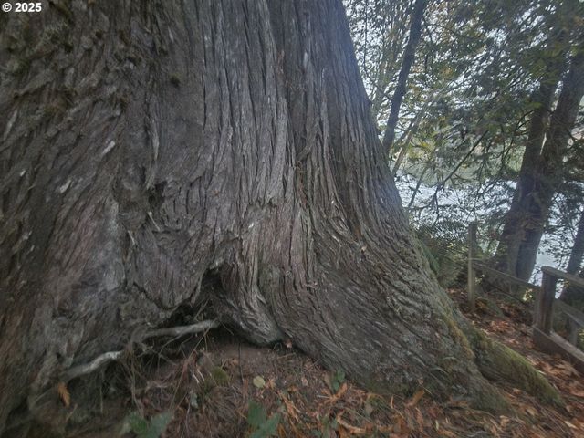 96015 Sunlake Ln, Lakeside, OR 97449