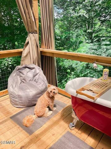 122 Quail Roost Drive, Cosby, TN 37722