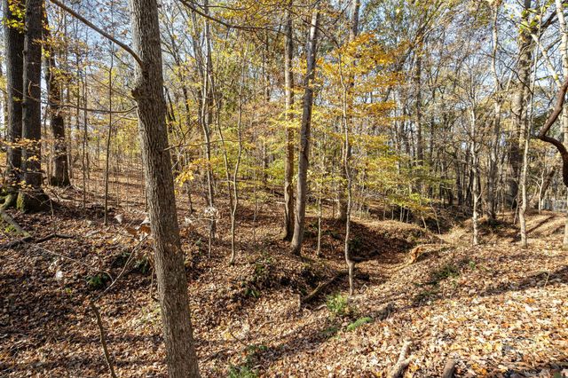 5221 Grand View Ln, Pleasant View, TN 37146