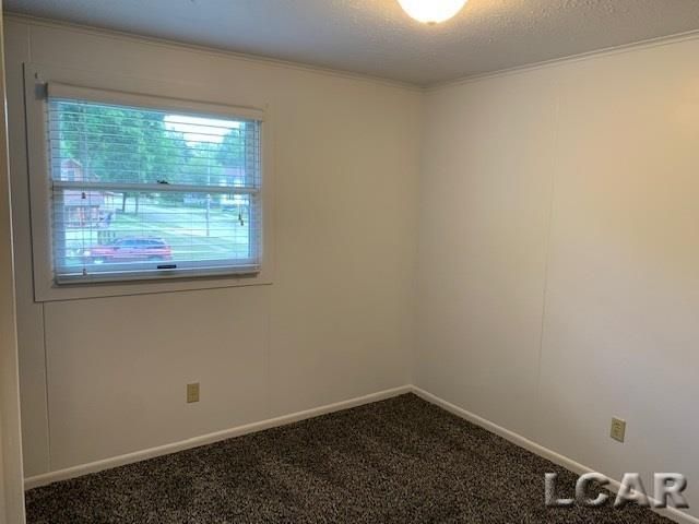 712 Company Street Apt 1, Adrian, MI 49221