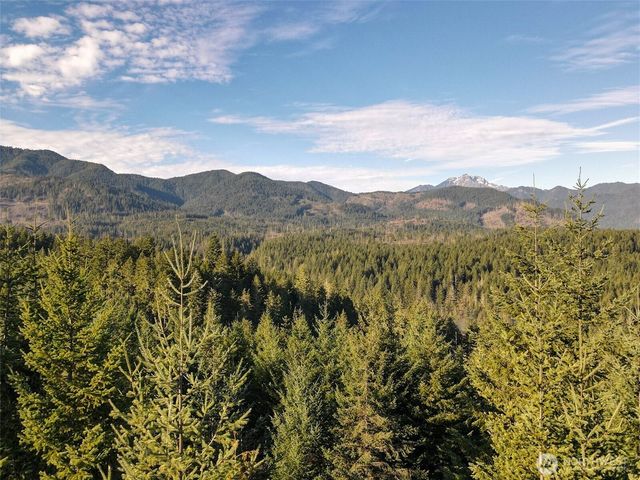 0 N Hamma Ridge Court, Lilliwaup, WA 98555