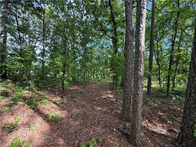 8 Soth Hills Loop, Holiday Island, AR 72631