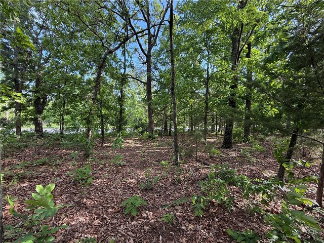 8 Soth Hills Loop, Holiday Island, AR 72631