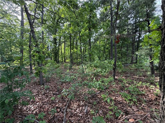 8 Soth Hills Loop, Holiday Island, AR 72631