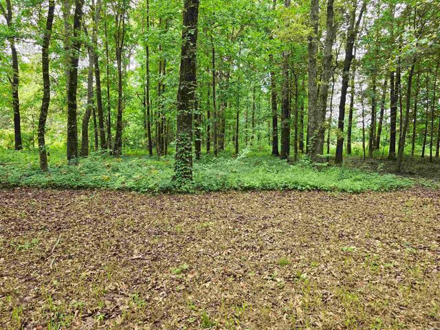 281 Gautney Ln Lane, Lonoke, AR 72086