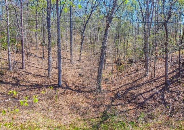 0 Arrow Lane, Lavonia, GA 30553