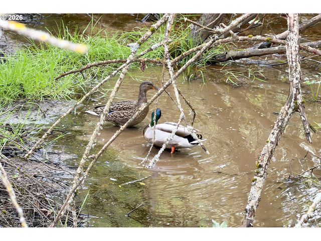 12432 Se MOUNTAIN SUN Dr, Clackamas, OR 97015