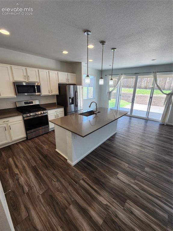 6904 Passing Sky Drive, Colorado Springs, CO 80911 — photo 3