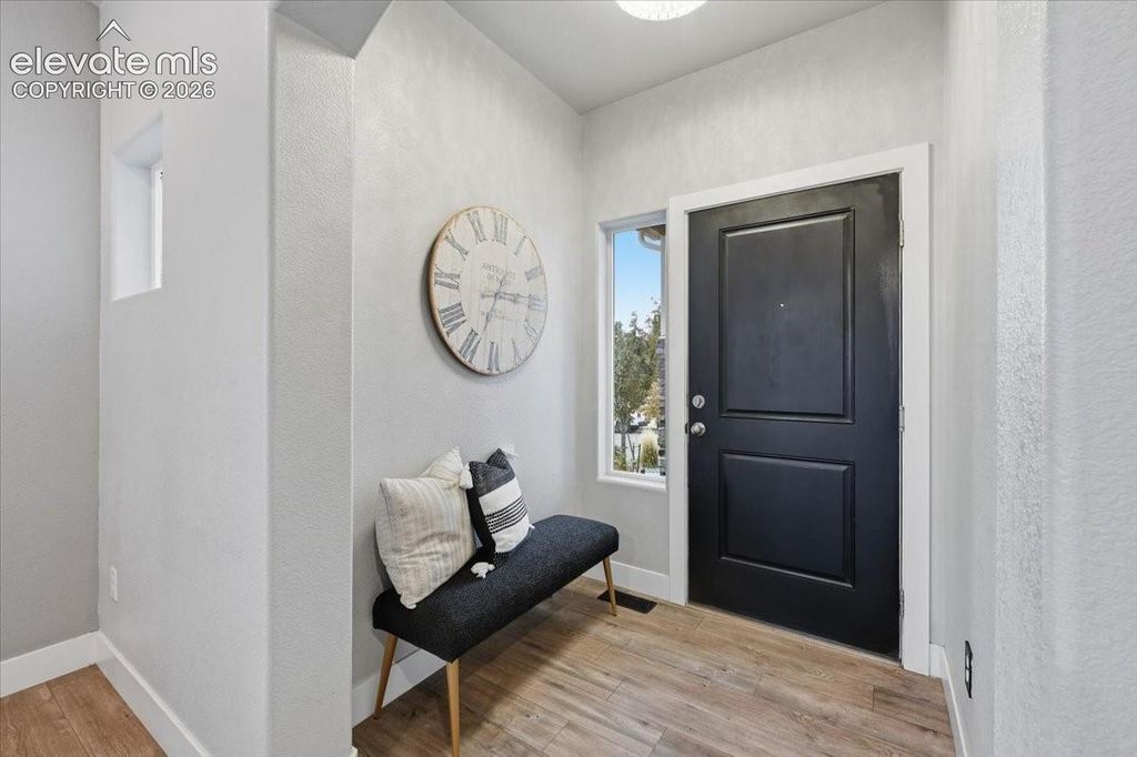8913 Bugaboo Drive, Colorado Springs, CO 80924 — photo 4