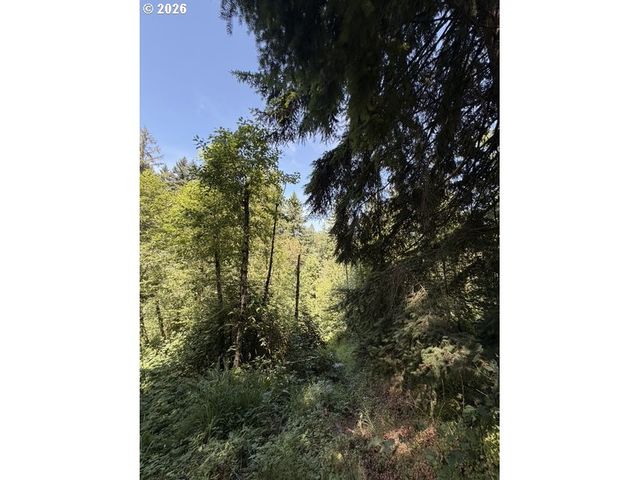 18243 S BOGYNSKI Rd, Oregon City, OR 97045