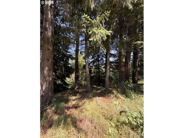 18243 S BOGYNSKI Rd, Oregon City, OR 97045